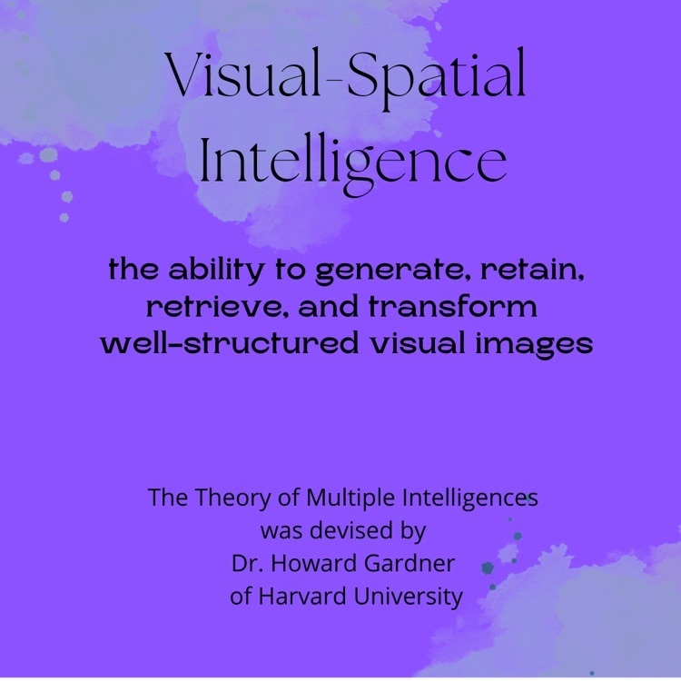Visual-Spatial Intelligence 